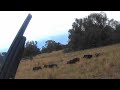 Best clips from the June longweekend hunt