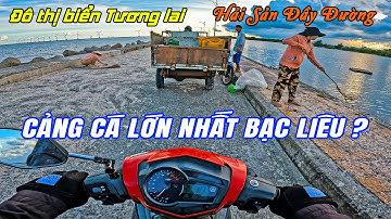 Khám Phá Đường Đê Biển và Cảng Cá Gành Hào nơi khát vọng xây dựng đô thị biển văn minh và hiện đại