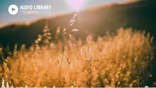 PACIFIC SUN   Nicolai Heidlas Music No Copyright Music