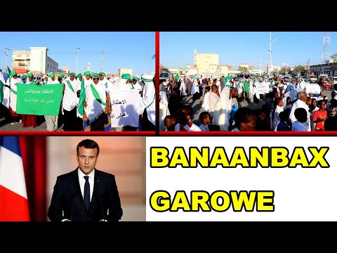 Banaanbax Lagu Cambaareynayo Madaxweynaha France Ayaa Ka Dhacay Magalada Garoowe.