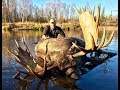 Self Guided Alaskan Giant Moose Hunting  / 4 Moose Shot / Kent Kaiser