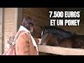 Collectes de vêtements, bénévoles, brouteurs ! Arnaques très rentables
