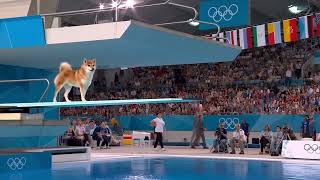 How is the water splash?Animal Games AI Edition screenshot 4