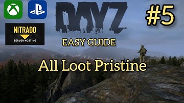 HOW TO MAKE ALL LOOT PRISTINE 2021 DAYZ PS4/XBOX MODDING