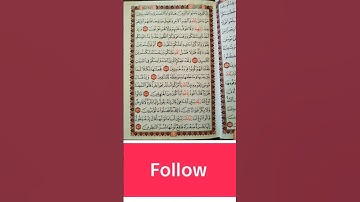 القران الكريم #القران_الكريم #الله #تلاوة_خاشعة #المصحف