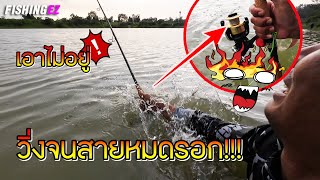 เอาไม่อยู่ วิ่งไม่หยุด ลากสายหมดรอก !!! FISHINGEZ วันที่ 11-5-66