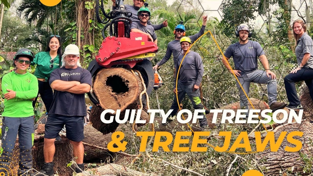 Guilty of Treeson & Tree Jaws - YouTube