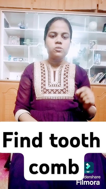Find Tooth Comb Idiom Meaning In Telugu YouTube message-us-for-more-information-pallets-pallets-meaning-pallets-for