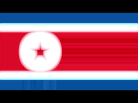 音割れコンギョ