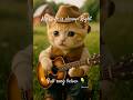 OMG 亞 My Wife Is Always Right Singingcat Cute Cat Viralcats Shorts OMG 亞 My Wife Is Always Right Singingcat Cute Cat Viralcats Shorts