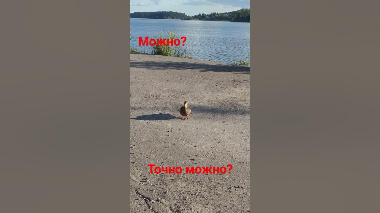 будьте добрее # #карелия #лето #жизнь #добро - YouTube