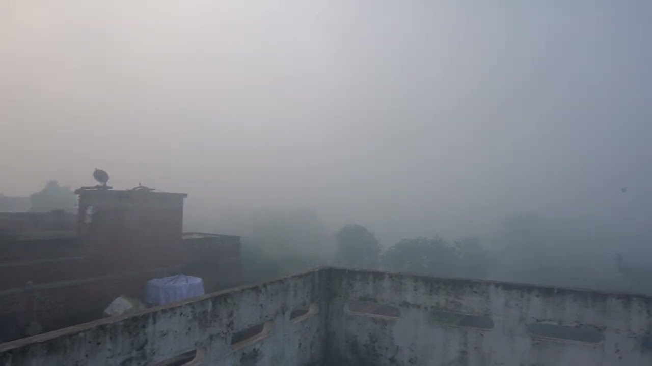 Foggy Morning in Village | Bihar Village | Chhath Puja | Winter Morning