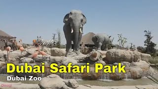 Dubai Safari Park 🐪🐊🐇 Dubai Zoo 🦅