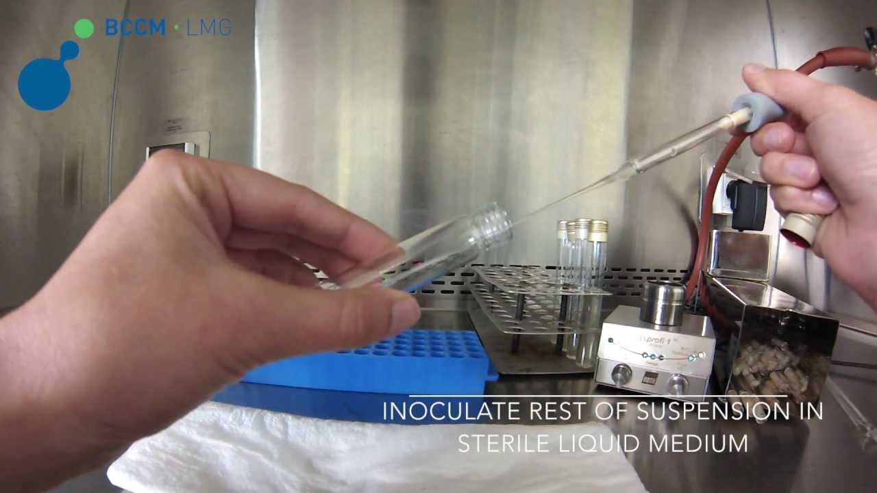 Discussion on this topic: How to Open an Ampule, how-to-open-an-ampule/ Communication on this topic: How to Open an Ampule, how-to-open-an-ampule/