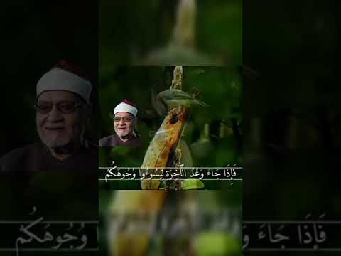 فإذا جاء وعد الاخرة أبو العينين شعيشع 