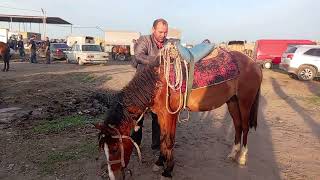 Berde At Bazari 09.05.2025.050.571.71.57