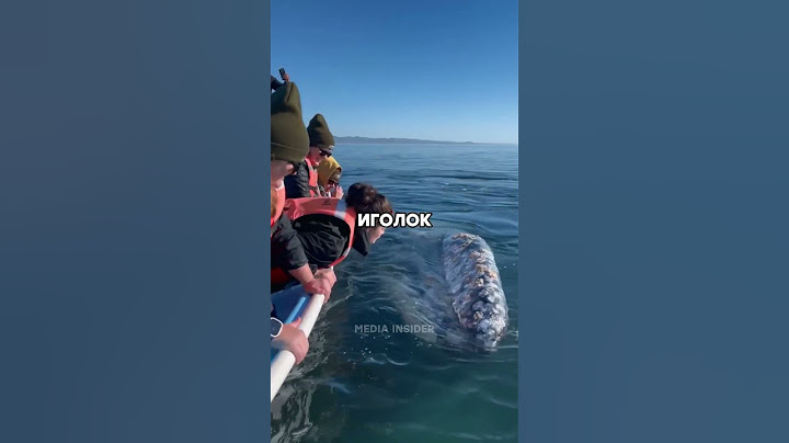 Кит подплыл вплотную 🐋🙏