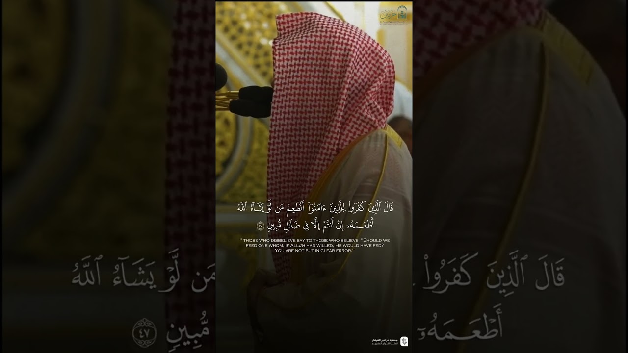 تصاميم قصيرة من الحرم النبوي | شهر ربيع الأول 1447هـ الحلقة العاشرة