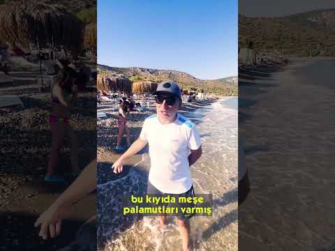 Abi nerdeyiz bugün?