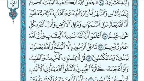 تلاوة سورة المائدة من الآية 98 إلى الآية 99