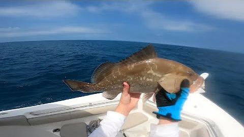 Ocean Fishing Marco Island FL Non Stop Action for Grouper & Snapper in the Gulf of Mexico
