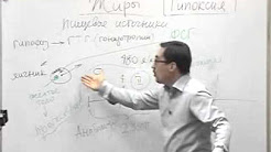 похудение с диетолог константин заболотный лекции