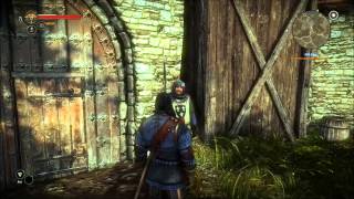 Witcher 2 (PC) Nvidia Shadowplay Test (ULTRA)