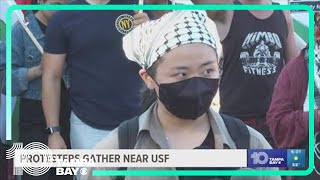 Pro-Palestinian protesters near USF campus hold press conference addressing Tuesday's demonstration