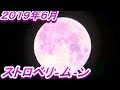 ストロベリームーン2019年6月!!️ 本当にピンク色でした!!️