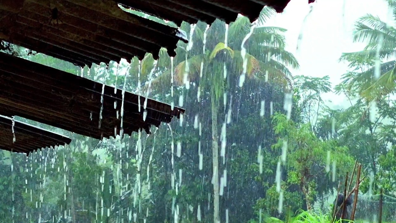 Звуки сильного дождя для сна 🌧️ Глубокий сон всю ночь | Реалистичный белый шум