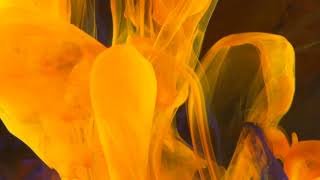 ASMR | Plastic Crinkle Sounds | Crinkling Sounds | Triggers & Tingles | No Talking | 2 Hours screenshot 5