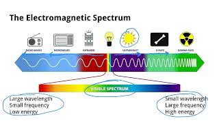Waves & The Electromagnetic Spectrum | Grade 10 Science