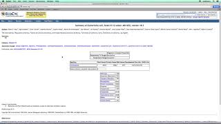 Smart Tables Part 4 - Import Export