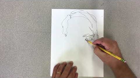 Blind Contour Drawing: Portrait Demonstration
