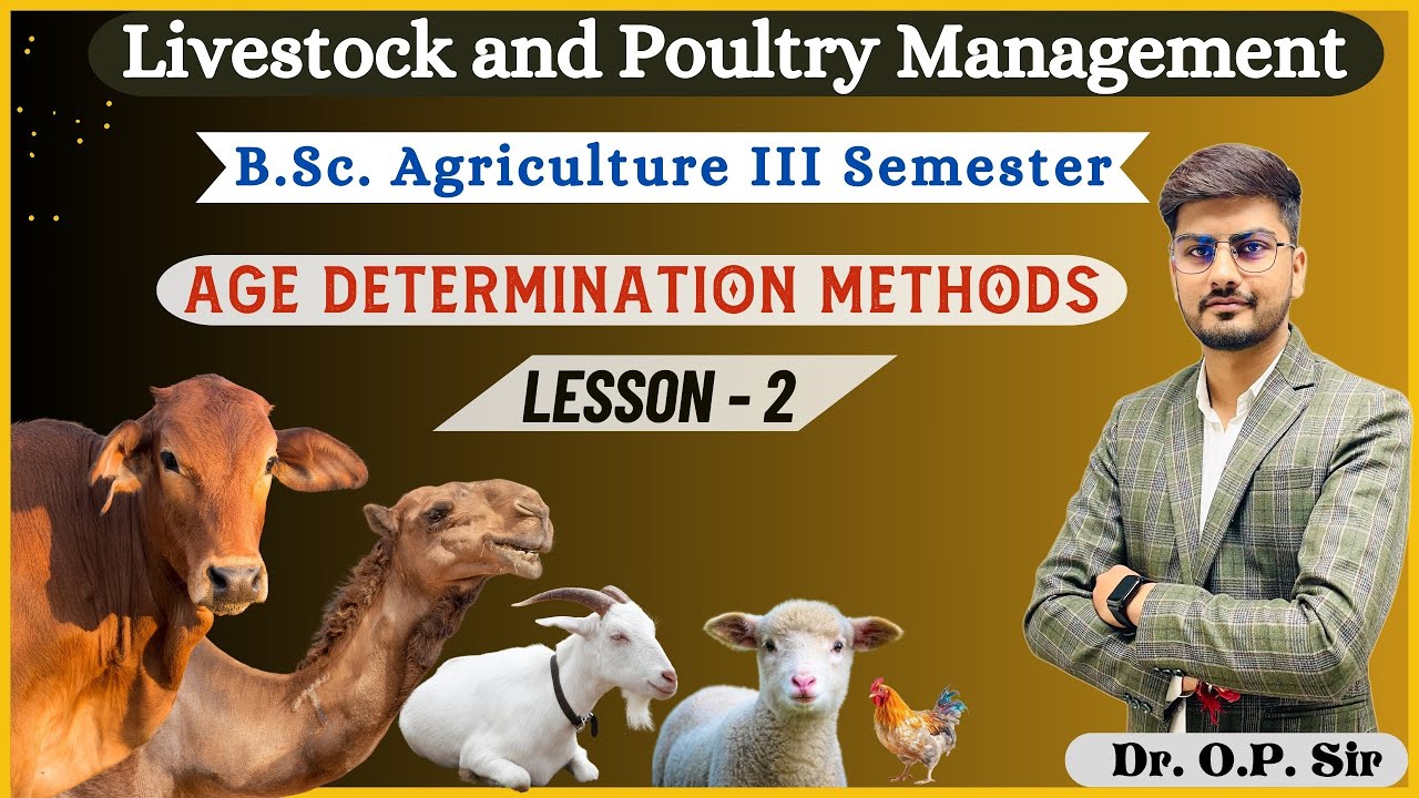 Livestock and Poultry Management for BSc Agriculture || Age Determination Method in Animals || LPM