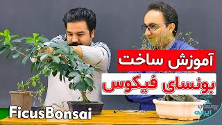 سه سوته بونسای درست کنید | Make Bonsai Ficus
