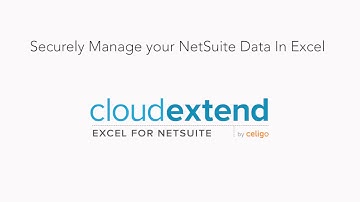 Manage Your Real Time NetSuite Data Securely and Seamlessly in Excel - Overview