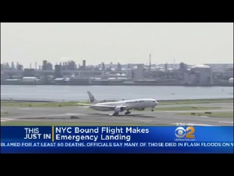 NYC-Bound Japan Airlines Flight Makes Emergency Landing