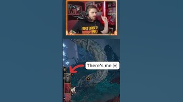 Has anyone’s character died in Baldurs Gate 3?
