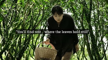 You’ll find rest — where the leaves hold still.../a relaxing music playlist/