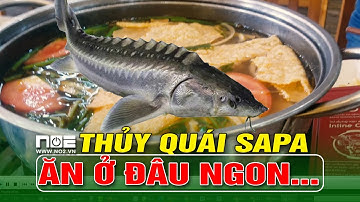 Ăn thịt quái thú sapa,Lẩu cá tầm sapa ở đâu ngon, muốn ăn phải lăn vào bếp, ăn gì hôm nay
