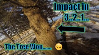Mini Quad vs Tree
