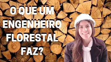O que faz um engenheiro florestal e quanto ganha?
