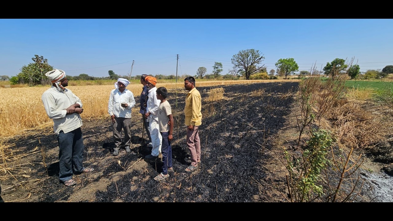 LIVE || मेहकर - शेतकऱ्याचा गहू जळाला आर्थिक संकट