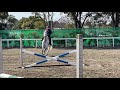 自馬クラシックで110センチ飛びました！