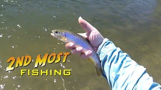 Spinning for Trout on the Kickapoo River - And Poor Angler Etiquette