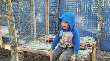 hnub no rov mus kho cooj qaib dua tiav lawm nawb