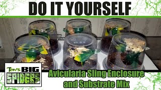 DIY Avicularia Sling Enclosure and Substrate Mix