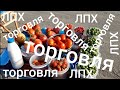 ЦЕНЫ на ягоду и овощи на рынке в Новосибирске. 24 июля.