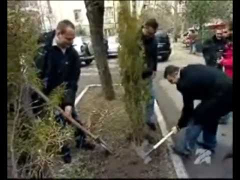 MOE. გამწვანების აქცია. 31-01-2009